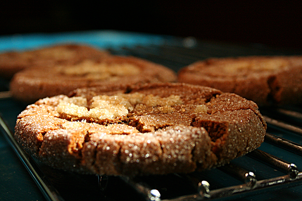 liz cookie ginger1