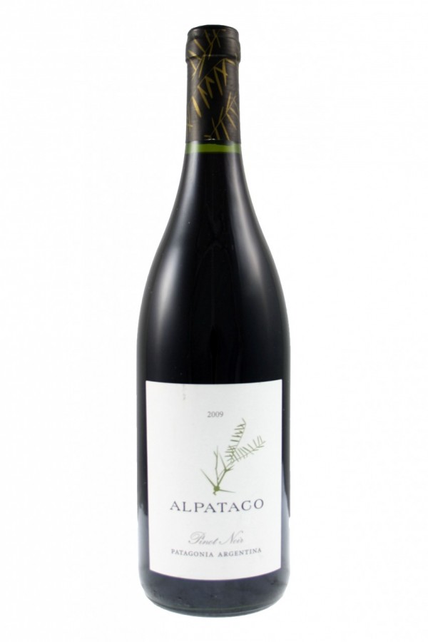 Alpataco Pinot Noir 2009 49487.1338478995.600.900