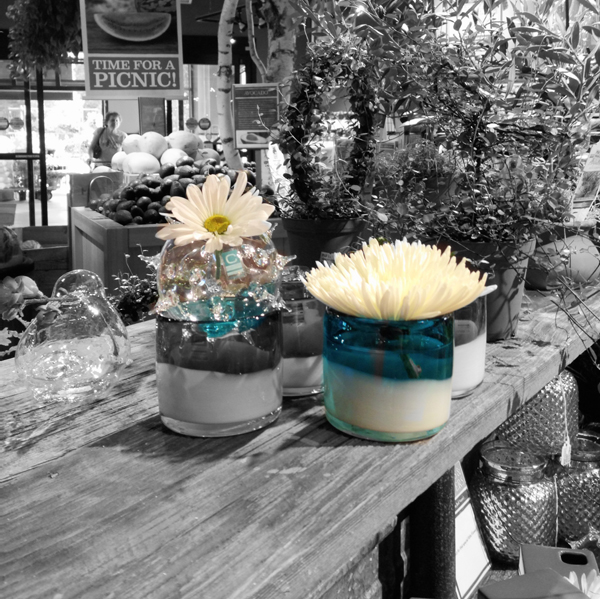 chive, glass, bud, vase, flowers, daisy, black&white, color splash