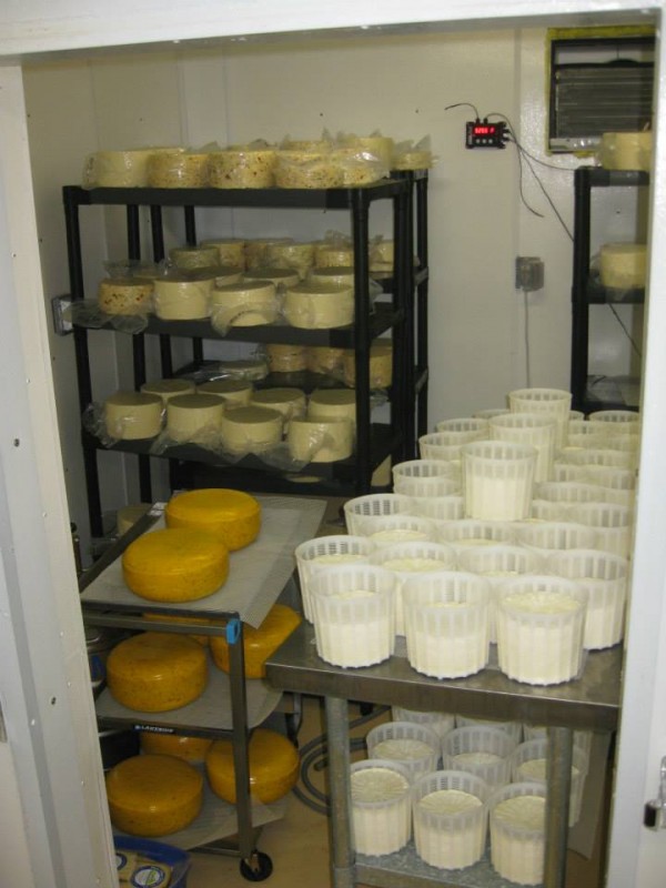 Aging room at Three Village Cheese