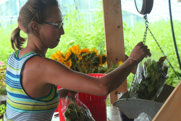 Weighing out lettuce for market. Behind her are cut flowers, and--you guessed it--a hoophouse full of tomato plants