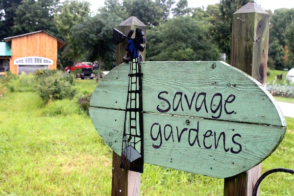 Savage Gardens, North Hero