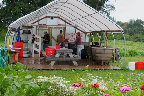 Half Pint's tidy washing and packaging station, and their 2 seasonal staff