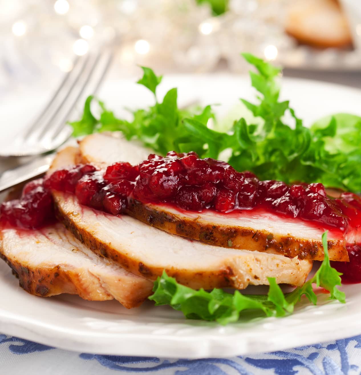 Thanksgiving Turkey Salad with Cranberry - Healthy Living