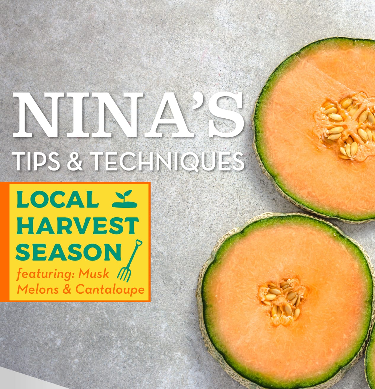 Nina's Tips Local Harvest featuring Musk Melons HLM