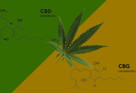 CBD vs CBG