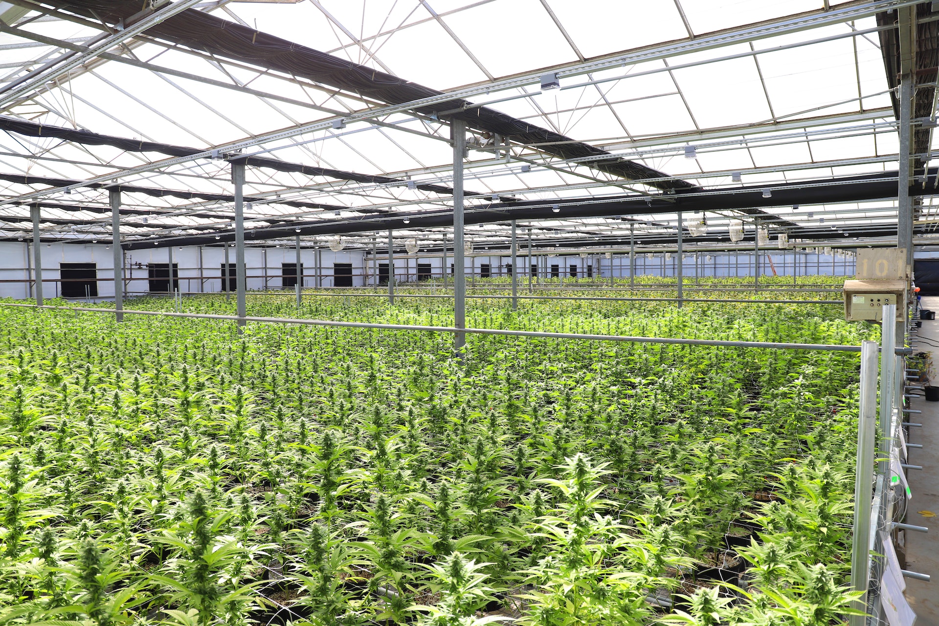 Regenerative Agriculture
